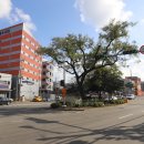 삼거리자동차정비공업사 이미지