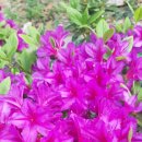 지양산 해맞이마을 이미지