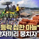 영남채소농협 엠비시 뉴스 이미지