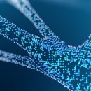 주식회사 세렌메디 이미지