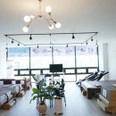 수목토일라이트 이미지