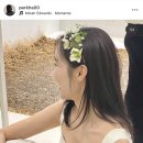 박하헤어스투디오