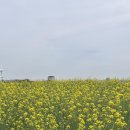 테마와 하루(목장 체험) 이미지