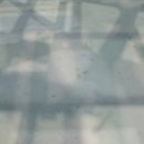 형상과 현상 이미지