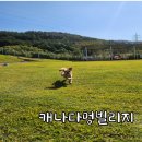 캐나다 멍 빌리지 이미지