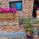 친목어린이공원 이미지