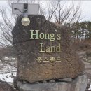 홍스랜드 이미지
