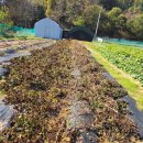 화성농장 이미지