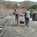 용기농장 이미지