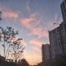 정원부동산공인중개사사무소 이미지