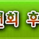 미르국제여행사