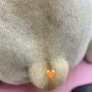 양파살롱 이미지