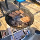 강아지풀 애견 이미지