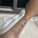 내포메디컬의원 이미지