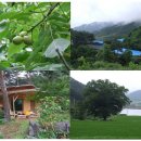 햇살이고운농장 이미지