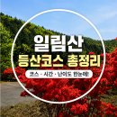 꺼먼재산_숲길(등산)1코스 | 일림산 '등산코스' 총정리 I 주차·소요시간·난이도 한 번에 정리