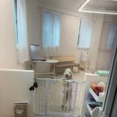 퍼에버 그루밍 이미지