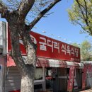 금돼지식육식당 | 고기 듬뿍 돼지찌개! 대구 욱수골 굴다리 식육식당 후기