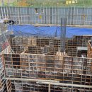 태경빌딩 이미지