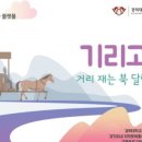 경희대 혜정박물관 이미지