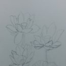 [북부] 연필스케치 이미지