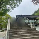 pet109더9730 | [경기/양평] 용문면 대형 카페 문릿 | 애견동반 대가족 함께 가기 좋은 곳 내돈내산