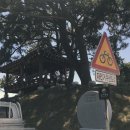 마상마을회관 이미지