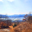 세천 체육공원 티스토리