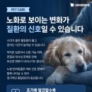 리센츠 스타동물병원 네이버블로그
