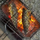 해송피크닉장 이미지