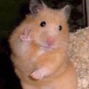 중노 | 야 춥다 진짜 너무 춥다 추워죽겠다