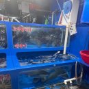 굿모닝회수산 | 가락시장 오마카세 맛집 '장성수산' 맛집 인정!!