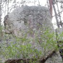 홍익테크 이미지