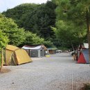 내리계곡 솔밭캠핑장 이미지