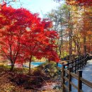 봉학골산림욕장 이미지