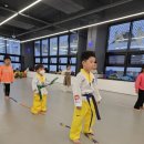 용인대청룡태권도 이미지