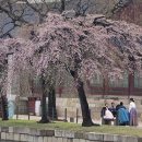 경회루 이미지