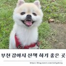 갈뫼어린이공원 공중화장실 | 부천 강아지 산책하기 좋은 곳 남부수자원 생태공원