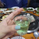 쭈꾸미랑바다친구들 이미지