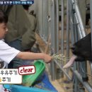 민재목장 이미지