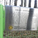 독정천 이미지