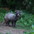 도심공원 이미지