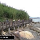 신안군(압해도) 자전거길 네이버블로그