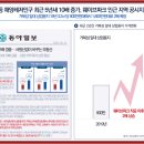 보니타가