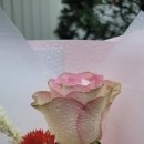 꽃안애 이미지
