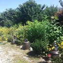 데미샘호수펜션 이미지