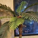 제주도게스트하우스파티 사교장 이미지