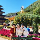 속리산 법주사 이미지