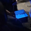 25년 제주 반딧불이 축제 산양큰엉곶 후기