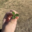 더맑은이현마을 이미지